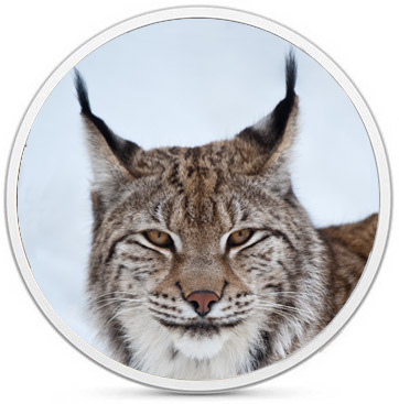 20121106osx109lynx