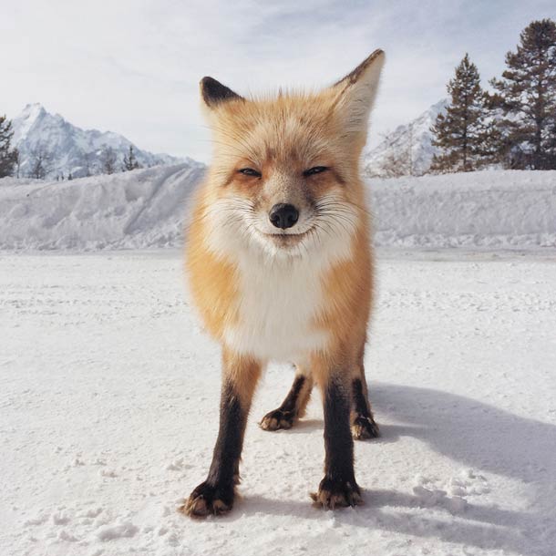 iPhone-Photography-Awards-2014-winners-1