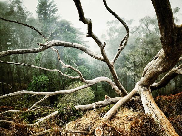© AARON PIKE