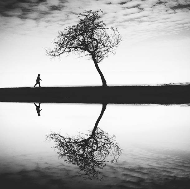© COCU LIU