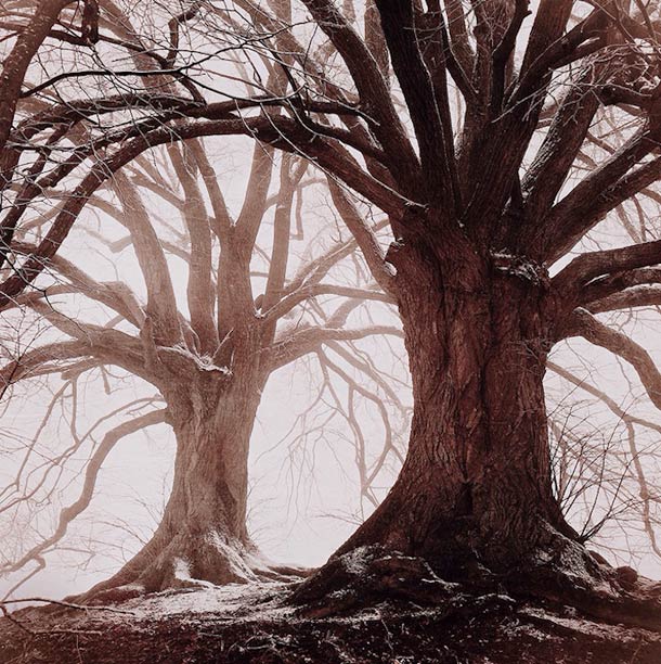 © MARIKO KLUG