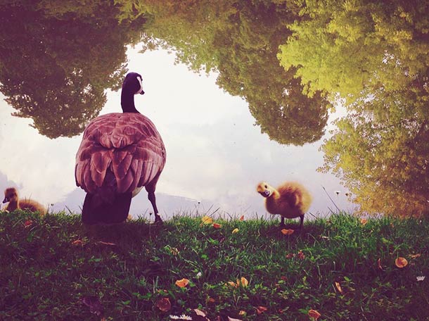 © NAOMI WU