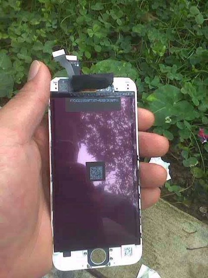 iphone6l_1