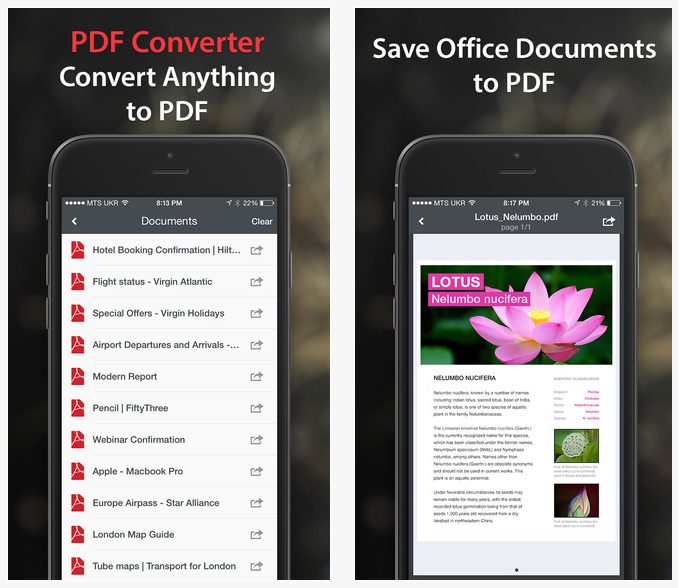 pdf_converter
