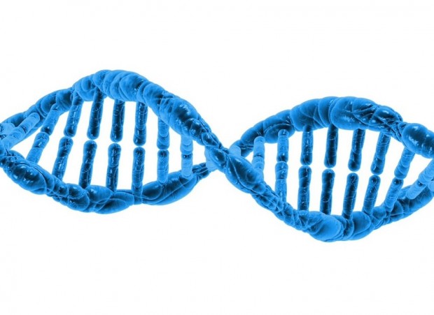 Electrical-Signals-Using-DNA