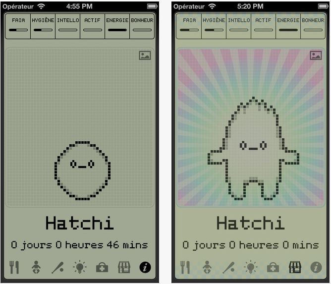 hatchi