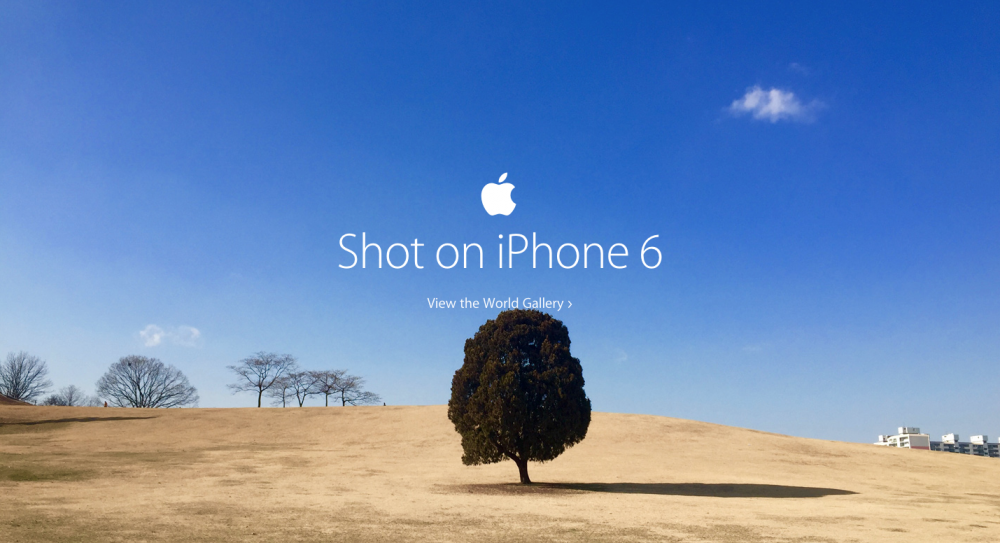 shot