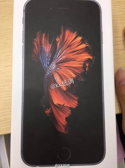6s_fish