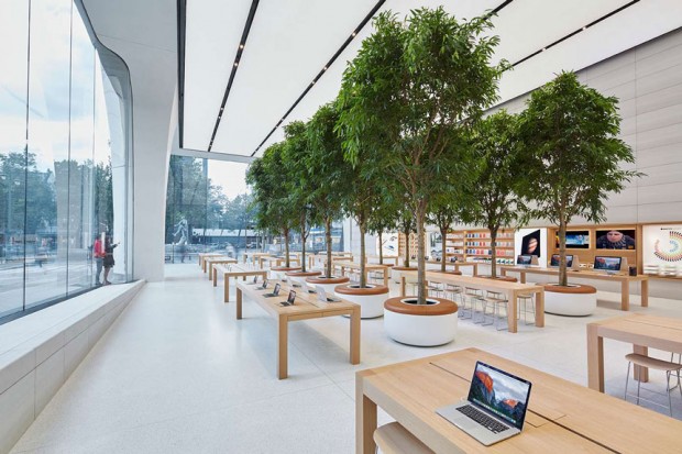 Les arbres et les vitres courbées de l'Apple Store de Bruxelles. - © DR