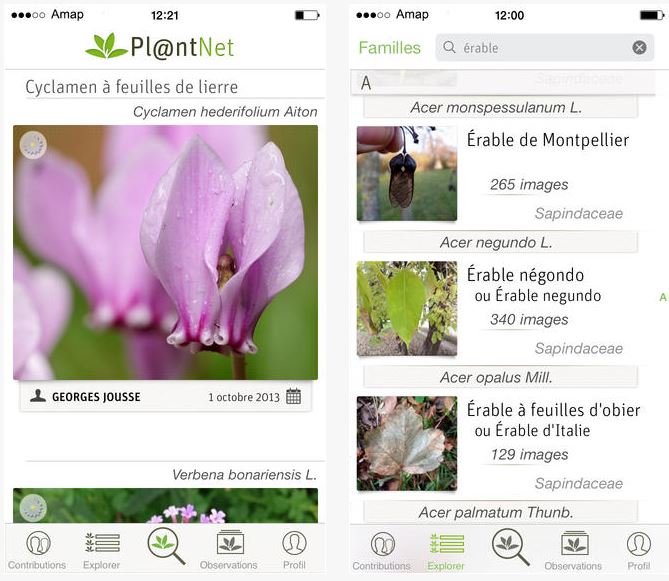 plantnet