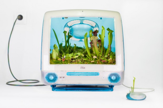 imac1