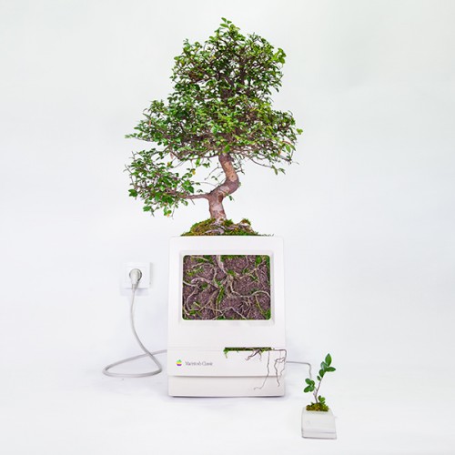 imac2