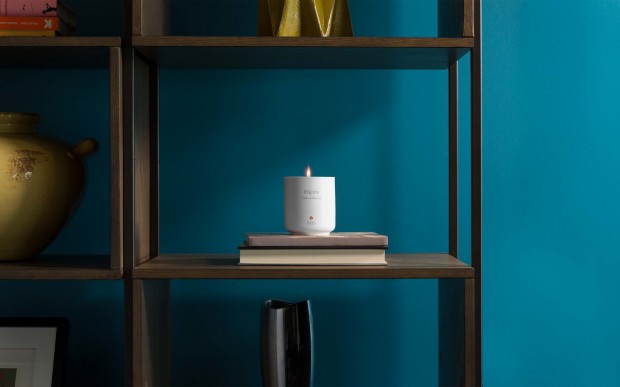 Crédit : Twelve South 